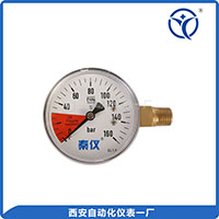 YC-60二氧化碳压力表