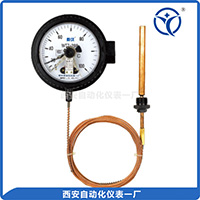WTZ、WTQ 电接点压力式指示温度计